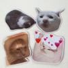 Lovely Funny Fridge Magnets Cat Meme Fasteners on Home& Kitchen; Applicable on Refrigerator, Car, Office Cabinets, Dishwasher and Whiteboard The Most Interesting Birthday Gift (13 Pieces) view 3