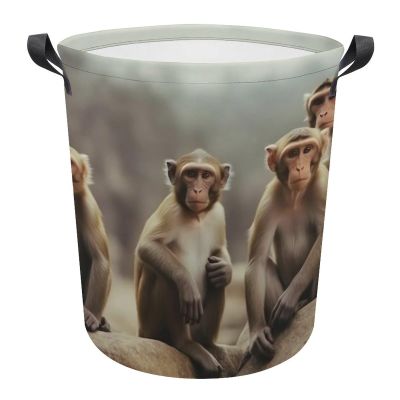 LFDSEPYM Laundry Hamper Large Laundry Basket Round Laundry Hampers with Handles Sitting Monkey Dirty Clothes Hamper Storage Basket for Family Bedroom Decoration