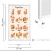 Poster Master Prepositions Poster - Educational Print - Learning Materials Art - Cat & Box Art - Gift for Kids, Students & Teacher - Great Wall Decor for Classroom or Library, 11x14 White Framed view 3