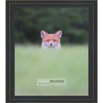 Poster Palooza 17x22 Frame Black with Gold Pinstripe Two-Step Solid Wood Picture Frame | 1.25 Inch Moulding Width | With UV Acrylic Plexiglass, Foam Board Backing & Hanging Hardware Included