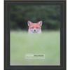 Poster Palooza 17x22 Frame Black with Gold Pinstripe Two-Step Solid Wood Picture Frame | 1.25 Inch Moulding Width | With UV Acrylic Plexiglass, Foam Board Backing & Hanging Hardware Included view 1