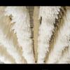 AOGATO Small Reeds, Immortal Flowers, Bouquet Ornaments, Pampas, Grass, Dried Reeds, Red view 3