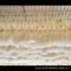 AOGATO Small Reeds, Immortal Flowers, Bouquet Ornaments, Pampas, Grass, Dried Reeds, Red view 4