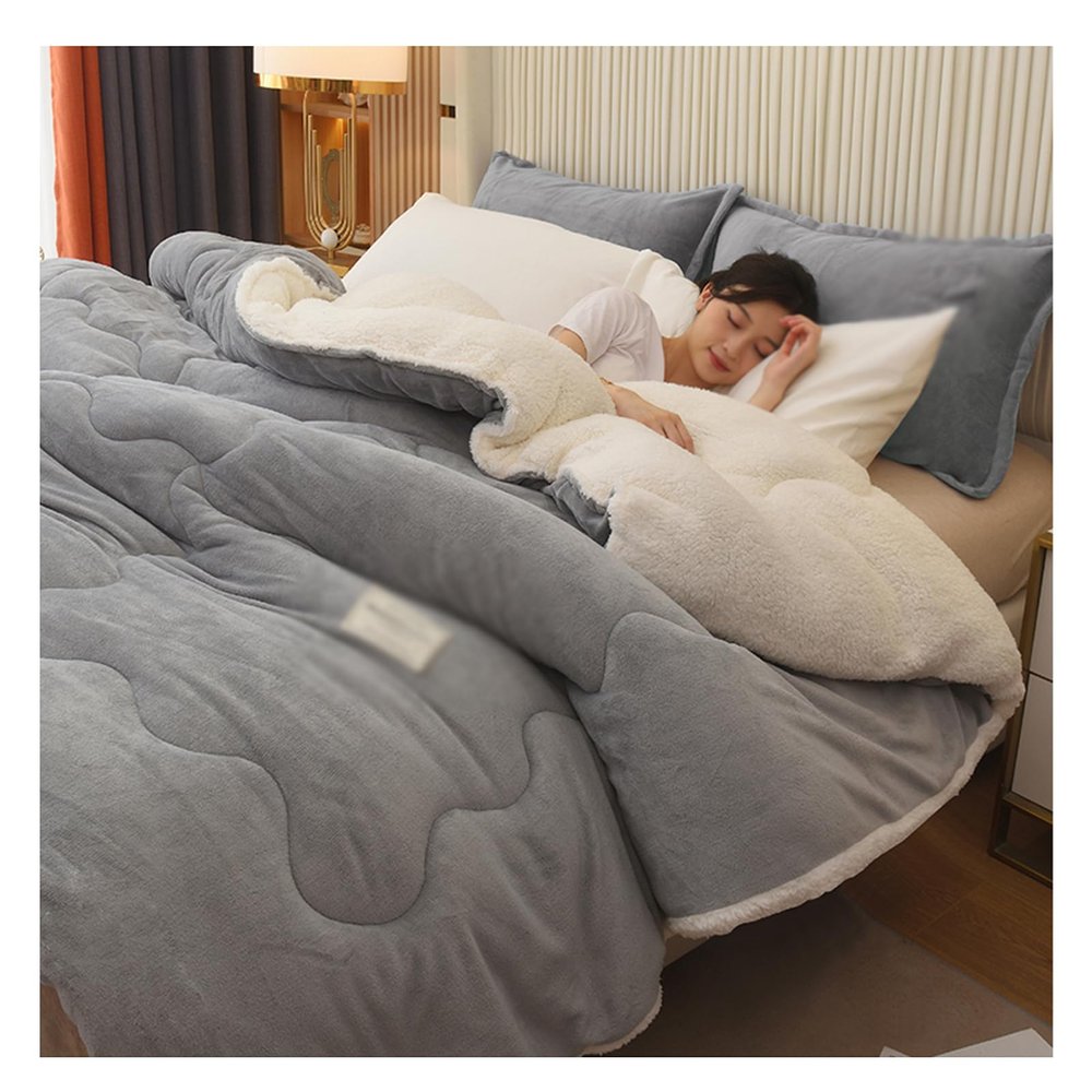 Winter Super Soft Warm Quilt, Comforter, Fluffy Duvet, Quilt Winter Blanket, Double-Sided Velvet Quilt, Spring Plush Comforter Core,B,180x220cm/3kg (A 180x220cm/4kg)
