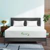Viscologic 12 inch Queen Luxurious Gel Infused Cool Sleep Supportive Hypoallergenic Reversible Foam Mattress, Bed Types and All Ages, CertiPUR-US Certified Foam Fiberglass Free view 1