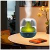 AKYLDI Landscape Design Portable Humidifier, 700ml Mini Humidifier for Plants, USB Rechargeable Bedroom Humidifier for Travel, Car, Office Room, Bedroom,Green view 1