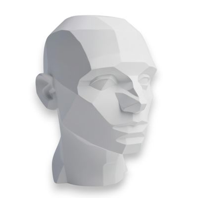 John Asaro Style Planar Head Size XL, Color White, 10" inches 25.4 cm Planar Bust, Made 100% in The US and Ships sameday, Learn The Planes of The Head, Human Head for Medical and Artistic Drawing.