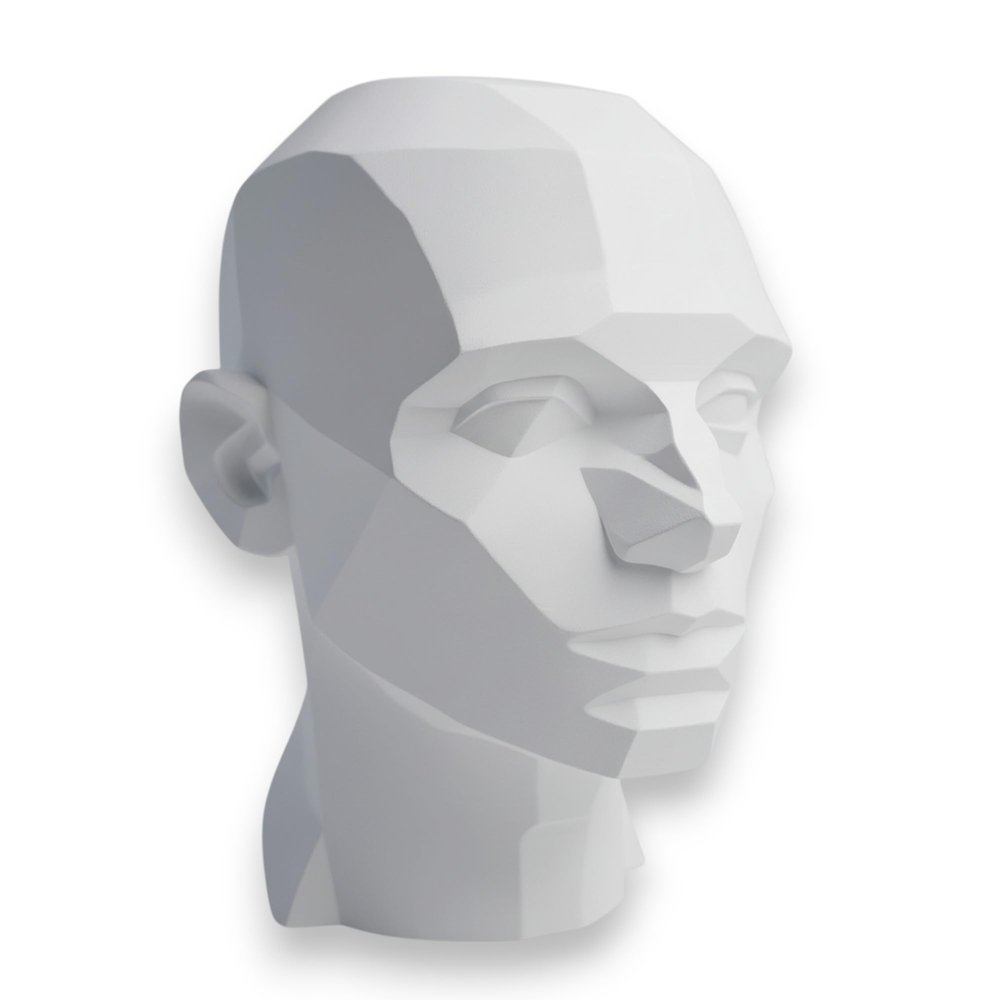 John Asaro Style Planar Head Size XL, Color White, 10" inches 25.4 cm Planar Bust, Made 100% in The US and Ships sameday, Learn The Planes of The Head, Human Head for Medical and Artistic Drawing.
