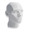 John Asaro Style Planar Head Size XL, Color White, 10" inches 25.4 cm Planar Bust, Made 100% in The US and Ships sameday, Learn The Planes of The Head, Human Head for Medical and Artistic Drawing. view 1