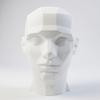 John Asaro Style Planar Head Size XL, Color White, 10" inches 25.4 cm Planar Bust, Made 100% in The US and Ships sameday, Learn The Planes of The Head, Human Head for Medical and Artistic Drawing. view 2
