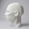 John Asaro Style Planar Head Size XL, Color White, 10" inches 25.4 cm Planar Bust, Made 100% in The US and Ships sameday, Learn The Planes of The Head, Human Head for Medical and Artistic Drawing. view 3
