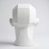 John Asaro Style Planar Head Size XL, Color White, 10" inches 25.4 cm Planar Bust, Made 100% in The US and Ships sameday, Learn The Planes of The Head, Human Head for Medical and Artistic Drawing. view 4