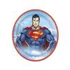 Superman Birthday Party Supplies Bundle includes 24 Lunch Paper Plates 9" view 3