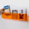 Acrylic Brochure Holder Wall Mount Magazine Rack Wall Mounted Vertical Gray Blue Green Orange Pink Clear, Small Large Acrylic Bookcase Wall Shelf for Kids/ Nursery/ Classroom/ Bedroom Small Space ( Co view 1