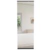 GOWE Leto Wall Mounted Shoe Rack with Mirror, Single Door, Capacity for Ten Shoes -Black view 2