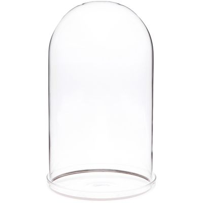 Plymor 5.5" x 10" Glass Display Dome Cloche with Silver Rim (Clear Glass Tray Base)