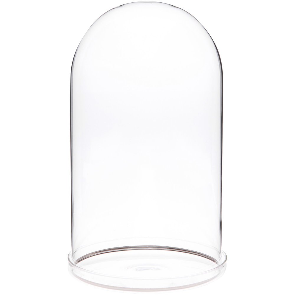 Plymor 5.5" x 10" Glass Display Dome Cloche with Silver Rim (Clear Glass Tray Base)