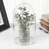 Plymor 5.5" x 10" Glass Display Dome Cloche with Silver Rim (Clear Glass Tray Base) view 2