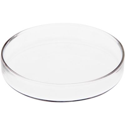 Plymor 3" x 3" Round Glass Display Tray, Pack of 6