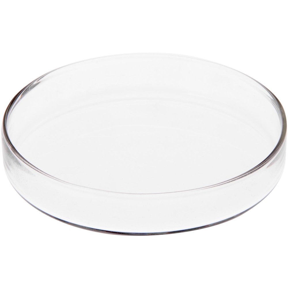 Plymor 3" x 3" Round Glass Display Tray, Pack of 6