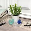 Plymor 3" x 3" Round Glass Display Tray, Pack of 6 view 2