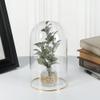 Plymor 4.5" x 8" Glass Display Dome Cloche with Gold Rim (no Base), Pack of 6 view 2