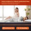 DIGLANT 14 Inch Plush Memory Foam Hybrid Mattress with Individually Pocket Coils for Pressure Relief,Balanced Support, Queen Size Mattress in Box, Motion Isolation view 2