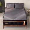 DIGLANT 14 Inch Plush Memory Foam Hybrid Mattress with Individually Pocket Coils for Pressure Relief,Balanced Support, Queen Size Mattress in Box, Motion Isolation view 3