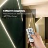 Shine Decor Bundle Products of Upgraded Dimmer Pack Remote with ECO LED Neon Rope Lights view 4