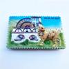 3D Isle of Man United Kingdom Fridge Magnet Tourist Souvenir Kitchen Refrigerator Magnet Decoration Hand Painted Craft view 3