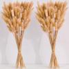 120 PCS Nature Dried Pampas Grass Decor, 17-inch Pompas Floral, Dry Flowers for Decoration, Pampas Grass in Bulk Tall, Nature Bunny Tails Dried Flowers for Boho Wedding Decor view 1