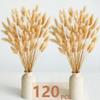120 PCS Nature Dried Pampas Grass Decor, 17-inch Pompas Floral, Dry Flowers for Decoration, Pampas Grass in Bulk Tall, Nature Bunny Tails Dried Flowers for Boho Wedding Decor view 2