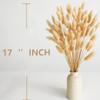 120 PCS Nature Dried Pampas Grass Decor, 17-inch Pompas Floral, Dry Flowers for Decoration, Pampas Grass in Bulk Tall, Nature Bunny Tails Dried Flowers for Boho Wedding Decor view 3