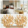 120 PCS Nature Dried Pampas Grass Decor, 17-inch Pompas Floral, Dry Flowers for Decoration, Pampas Grass in Bulk Tall, Nature Bunny Tails Dried Flowers for Boho Wedding Decor view 4