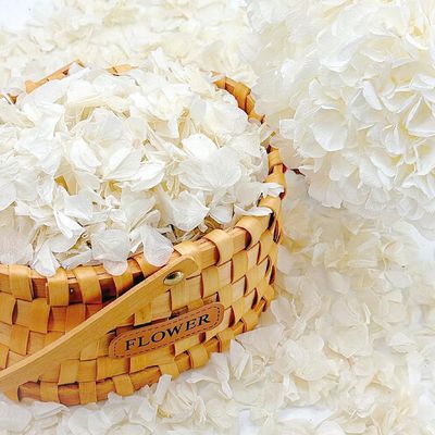 1250+ Real Dried Lvory White Hydrangea Petals - 0.88 oz Preserved Natural Flower Petals for Wedding Decor, Party Confetti, Dinner Table Centerpieces, Handcrafts