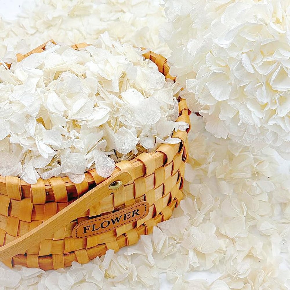 1250+ Real Dried Lvory White Hydrangea Petals - 0.88 oz Preserved Natural Flower Petals for Wedding Decor, Party Confetti, Dinner Table Centerpieces, Handcrafts