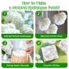 1250+ Real Dried Lvory White Hydrangea Petals - 0.88 oz Preserved Natural Flower Petals for Wedding Decor, Party Confetti, Dinner Table Centerpieces, Handcrafts view 4