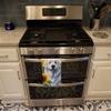 Caroline's Treasures Great Pyrenees in Sunflowers Kitchen Towel Dish Cloths Guest Hand Towel Decorative Bathroom Towel for Face,Tea, Dishcloth, Kitchen and Bath view 3