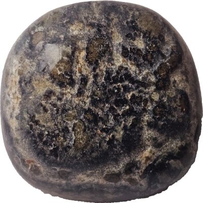 StarStuff.Rocks Exotic Tumbled Stone Collection for Metaphysical, Alternative, and Decorative Accent Pieces (1, Kambaba Jasper)
