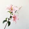 WZYINLET Artificial Lily Bouquet Living Room Decoration Ornaments Potted Fake Flowers, Light Yellow (Both Ends) view 2