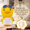 CoFuBcad Handcrafted Emotional Support Penguin Gift, Cute Crochet Penguin Knitted Doll Decoration with Front Card, Wooden Base for Birthday Gift Home Decoration view 4