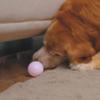 BOWERBIRD Clear Under Couch Blockers - Stop Toys from Going Under Couch Sofa Bed and Other Furniture - Suit for Hard Surface Floors Only view 3