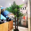 ESRADA Artificial Landscape Tree Simulated Coconut Tree Tropical Outdoor Fake Tree Palm Tree Green Plants Decorative Fake Coconut Leaves for Christmas, Weddings 1m+2m view 4