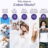 100% Egyptian Cotton 800 Thread Count Bed Sheet -Short King Size (72" X 75") Inch, Hotel Quality 4Pcs Bed Sheets for RV Mattress, Camper Sheets 8" Deep Pocket - Sliver Solid view 3