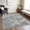 Addison Rugs Chantille ACN1018 Gray 3' x 5' Indoor Outdoor Area Rug, Easy Clean, Machine Washable, Non Shedding, Bedroom, Entry, Living Room, Dining Room, Kitchen, Patio Rug view 2