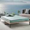 SmartBD 7"" Mattress Foam Double Waterproof Bedwetting Mattress Adult & Kids, White Noise, Easy to Clean, Cloud Firm, Mattress in a Box Signature Mielmoon (Twin 39X74), REST001-1007GRN view 1