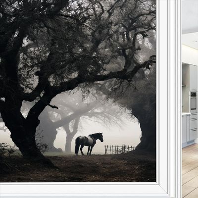 Dunmat Farmhouse Horse Window Privacy Film Rustic Woods Misty Animal Stained Glass Window Coverings Glass Sticker Frosted Window Film for Home Office Stores 31.5Wx47.2L inch