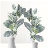 Factory Direct Craft Artificial Green Flocked Lamb's Ear Stems Set of 2 - Fake Greenery for Arrangements and Displays (28 Inches High) view 1