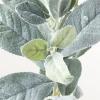 Factory Direct Craft Artificial Green Flocked Lamb's Ear Stems Set of 2 - Fake Greenery for Arrangements and Displays (28 Inches High) view 3