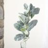 Factory Direct Craft Artificial Green Flocked Lamb's Ear Stems Set of 2 - Fake Greenery for Arrangements and Displays (28 Inches High) view 4